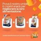 N&D Farmina Pumpkin Dog Puppy Mini Agnello e Mirtillo 2,5 kg