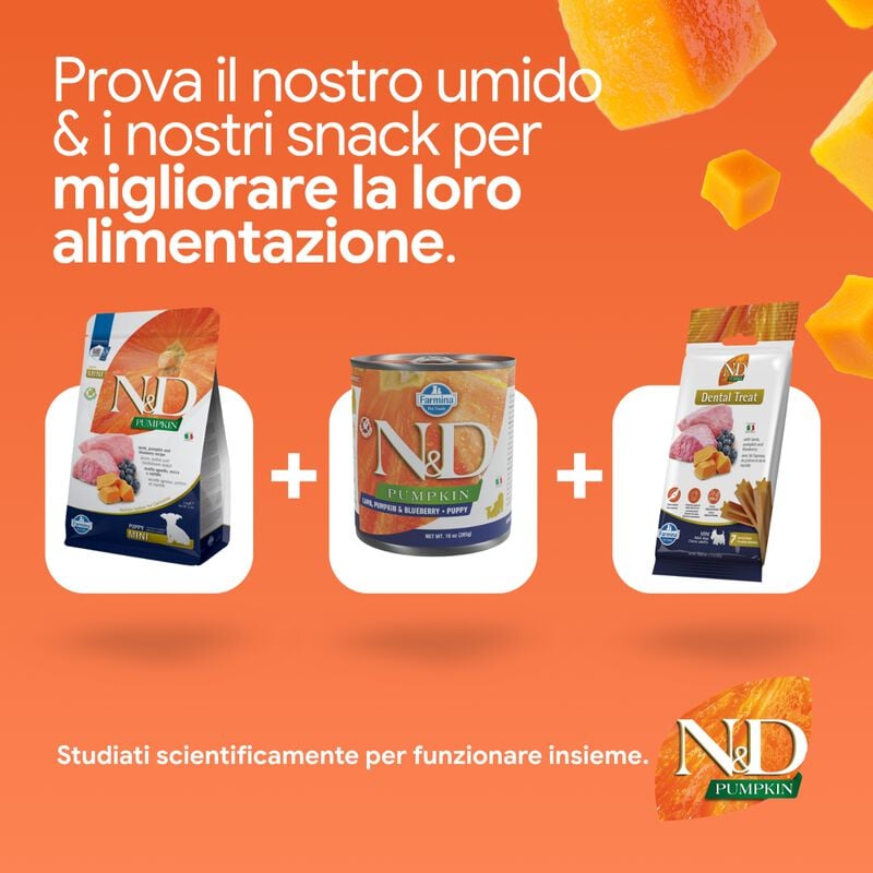 N&D Farmina Pumpkin Dog Puppy Mini Agnello e Mirtillo 2,5 kg