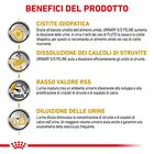 Royal Canin Veterinary Diet  Cat Urinary S/O Gravy12x85 gr