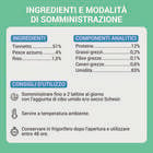 Schesir Cat Tonnetto con Pesce Azzurro in Brodo 70g