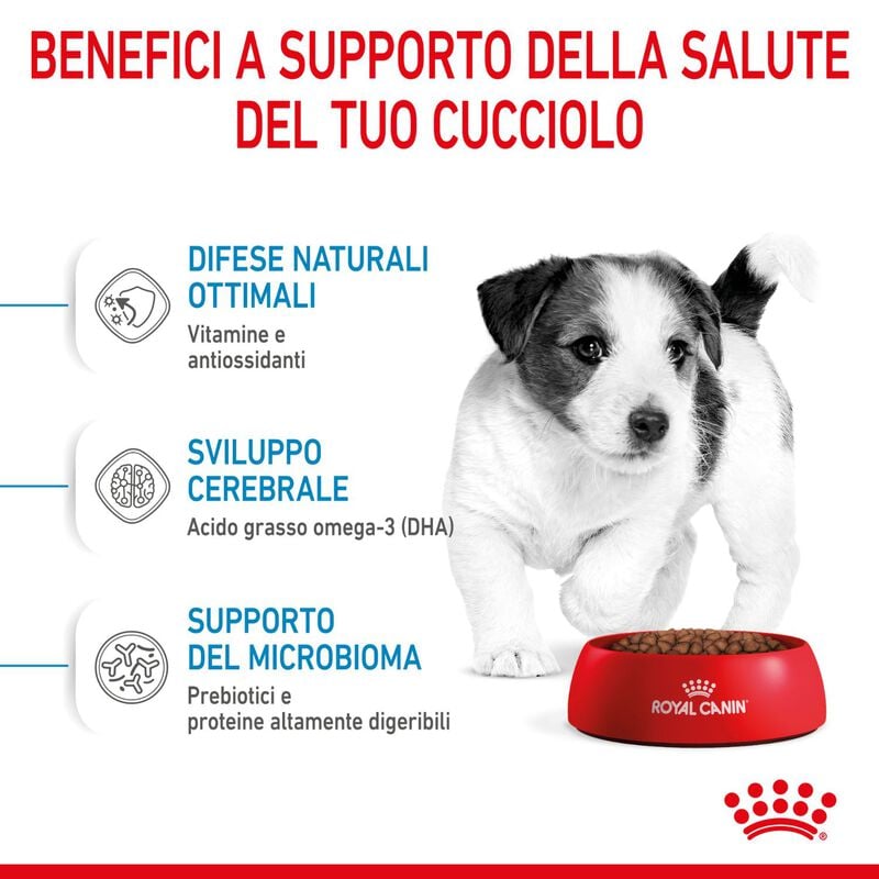 Royal Canin Dog Mini Puppy 800 gr