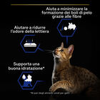 Purina Pro Plan Cat Adult Indoor con Salmone in Salsa 85 gr