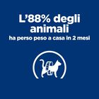 Hill's Prescription Diet Cat Metabolic Weight & Diabetes Management con Pollo 1,5 kg