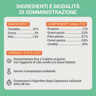 Schesir Cat Tonnetto con Aloe in Gelatina 70g
