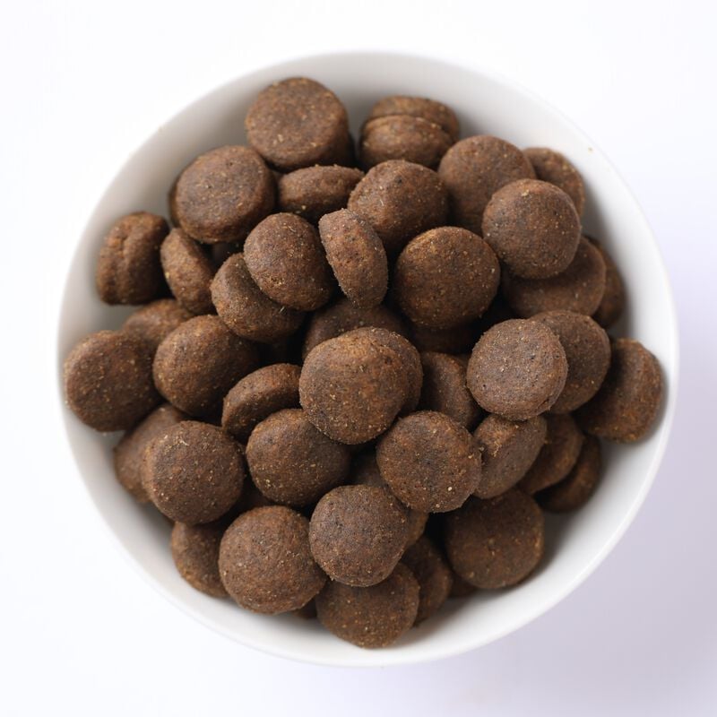 N&D Farmina Ancestral Grain Puppy Medium & Maxi Agnello e Mirtillo 2,5 kg