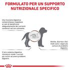 Royal Canin Veterinary Diet Dog Puppy Gastrointestinal 10 kg