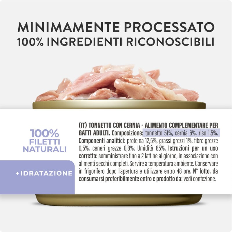 Schesir Cat Adult Tonnetto con Cernia in jelly 70 gr