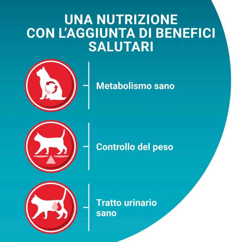 Purina One Bifensis Cat Sterilised Salmone e Frumento 800 gr