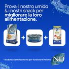 N&D Farmina Ocean Cat Adult Neutered Aringa & Arancia 1,5 kg