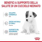 Royal Canin Babydog Milk 400 gr - Scad 31 ottobre 2026