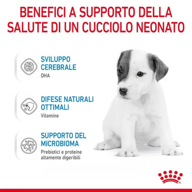 Royal Canin Babydog Milk 400 gr - Scad 31 ottobre 2026