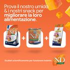 N&D Farmina Pumpkin Dog Puppy Medium & Maxi Agnello e Mirtillo 2,5 kg