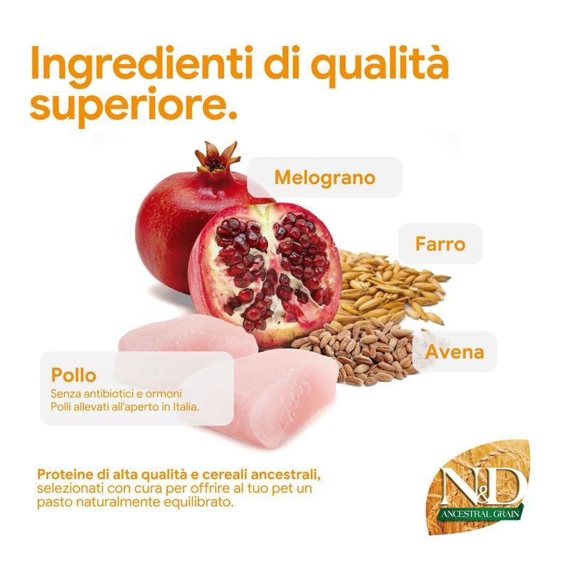N&D Farmina Ancestral Grain Neutred Cat Pollo & Melograno 300 gr