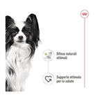 Royal Canin Dog Adult X-small 85gr