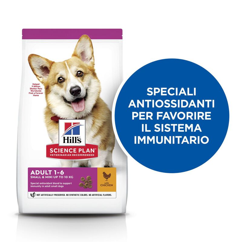 Hill's Science Plan Dog Small & Mini Adult con Pollo 6 kg