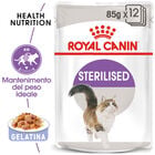 Royal Canin Cat Adult Sterilised in Gelly 85gr