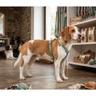 Trixie Premium Pettorina ad H color Salvia mis. S-M
