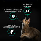 Purina Pro Plan Renal Plus Cat Adult 1+ Sterilised con Coniglio 400 gr