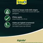 Tetra Pond AlgoRem 250 ml