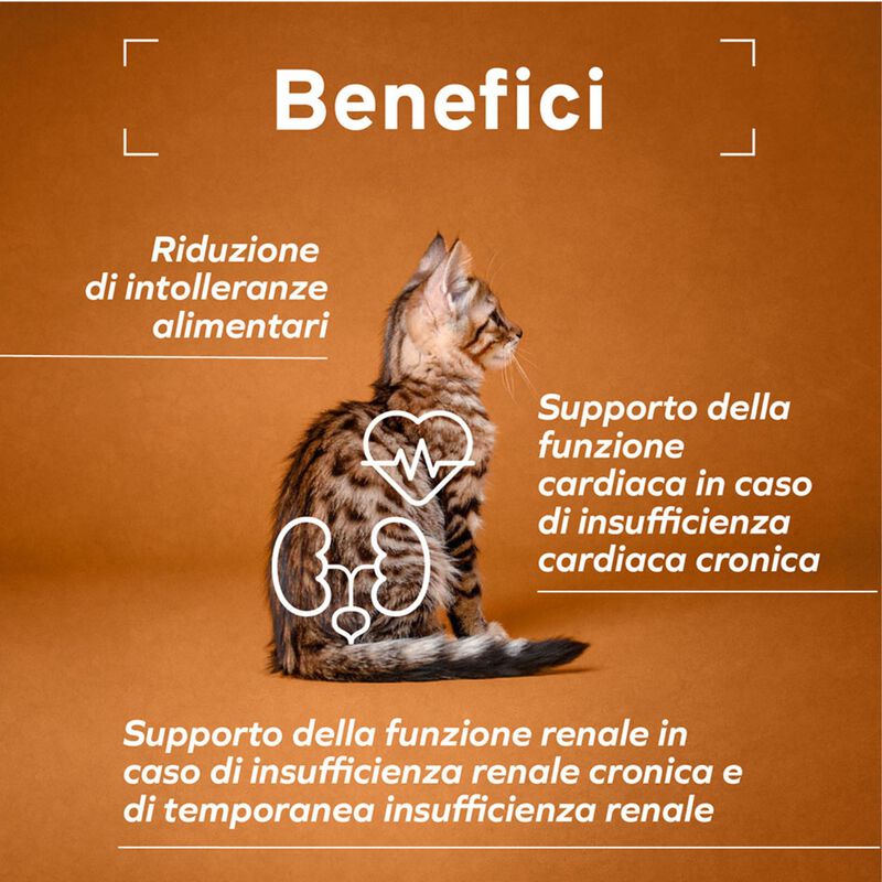 Forza 10 Active Vet Diet Renal per Gatti Adulti al Pesce 1,5 kg
