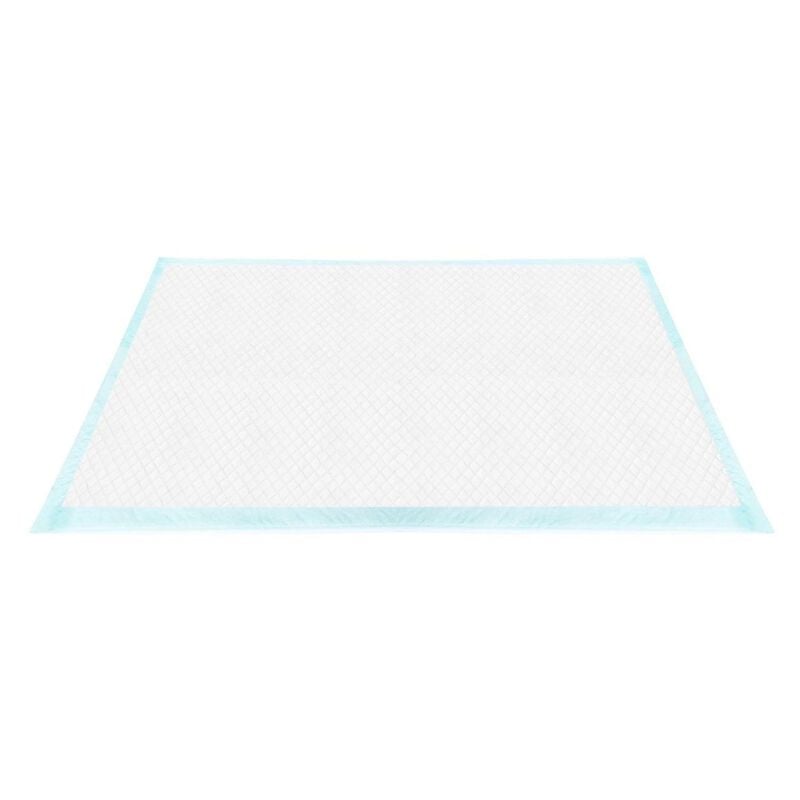 Record Tapiss Tappetini assorbenti carboni attivi 60x90 cm