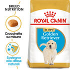 Royal Canin Dog Puppy Golden Retriver 3 kg