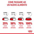 Royal Canin Cat Kitten 2 kg
