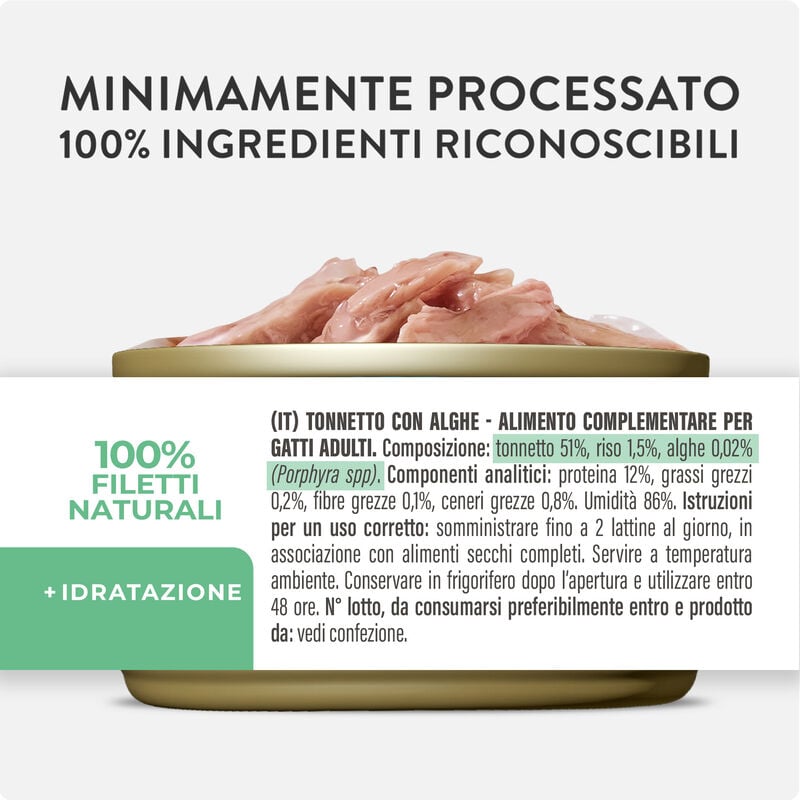 Schesir Cat Jelly Tonnetto con Alghe 70g