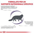 Royal Canine Veterinary Diet Cat Neutered Satiety Balance 3 kg