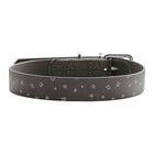 Hunter Collare Convenience Reflect Tg. 50/M Grigio con Stelle