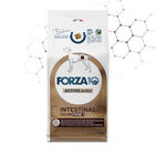 Forza10 Active Vet Diet Dog Adult Intestinal Colon Fase1 10 Kg