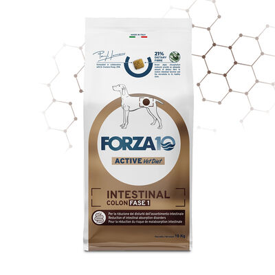 Forza10 Active Vet Diet Dog Adult Intestinal Colon Fase1 10 Kg