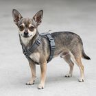 Trixie Premium Pettorina ad H Color Grigio Tg XS-S