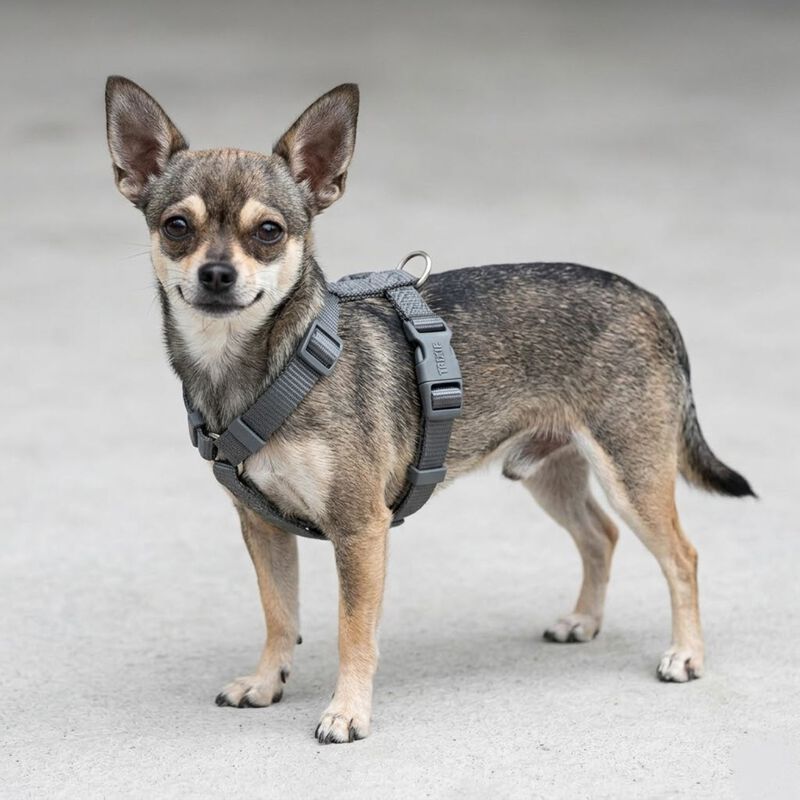 Trixie Premium Pettorina ad H Color Grigio Tg XS-S