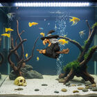 Askoll Decorazione acquario Strega con ventosa 9,5x3,5x8 cm