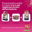 N&D Farmina Quinoa Weight Management Cat con Agnello 1,5 kg
