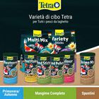 Tetra Pond Flakes 1 lt