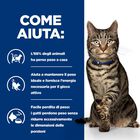Hill's Prescription Diet Cat Metabolic Weight & Diabetes Management con Pollo 3 kg