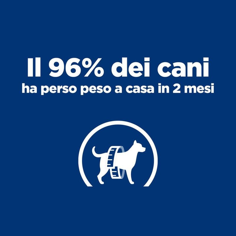 Hill's Prescription Diet Dog Metabolic Spezzatino Pollo e Verdure 354 gr