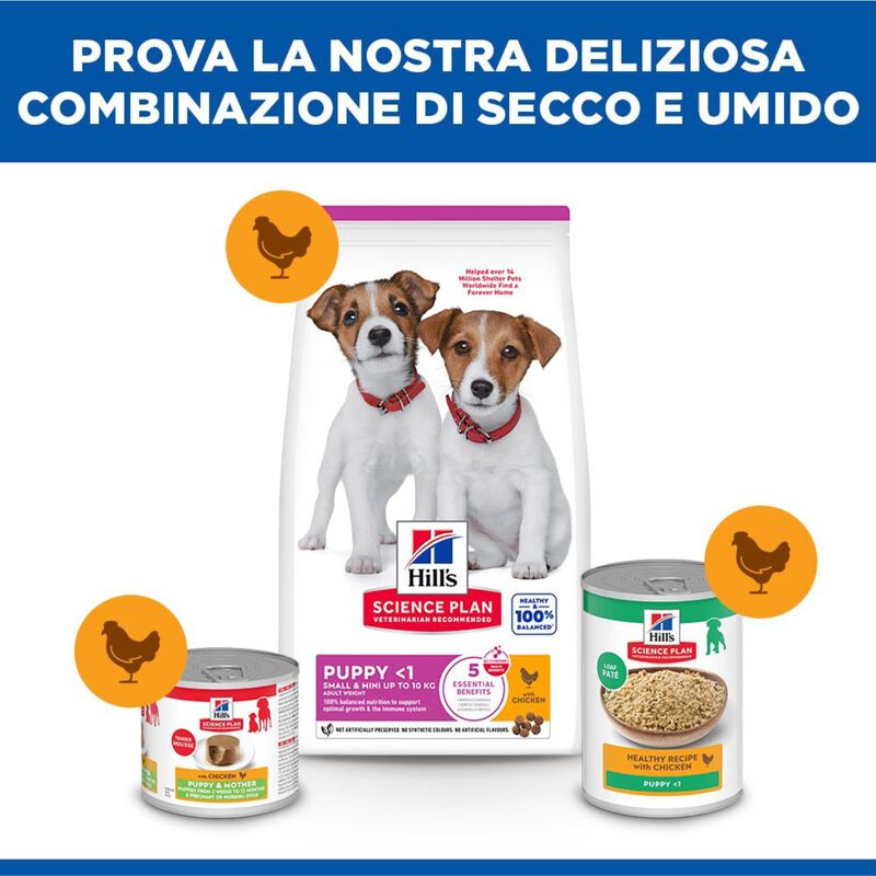 Hill's Science Plan Dog  Small & Mini Puppy al Pollo 1,5 kg