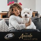 Cesar Dog Natural Goodness Casserole In salsa con salmone 100 gr