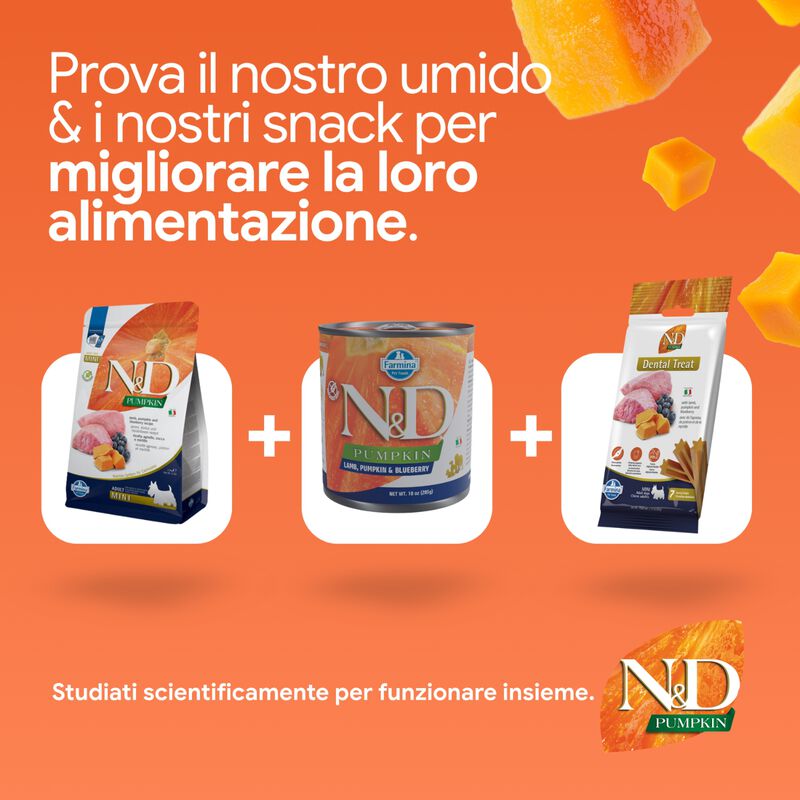 N&D Farmina Pumpkin Dog Adult Mini Agnello e Mirtillo 2,5 kg