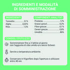 Schesir Cat Jelly Tonnetto con Alghe 70g