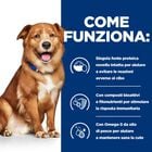 Hill's Prescription Diet Dog Derm Complete Monoprotein 1,5 kg