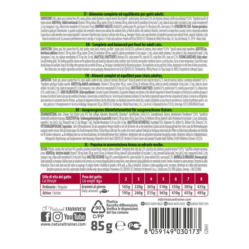 Natural Trainer Cat Adult al Salmone 85 gr