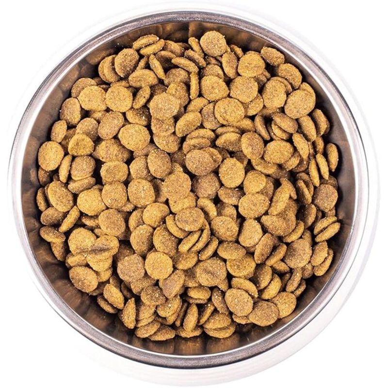 Monge Natural Superpremium Kitten Ricco in Pollo 400 gr
