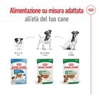 Royal Canin Dog Mini Adult 85 gr