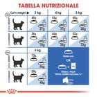 Royal Canin Cat Senior Indoor +7 anni 400 gr