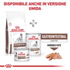 Royal Canin Veterinary Diet Dog Gastrointestinal Low Fat 6 kg