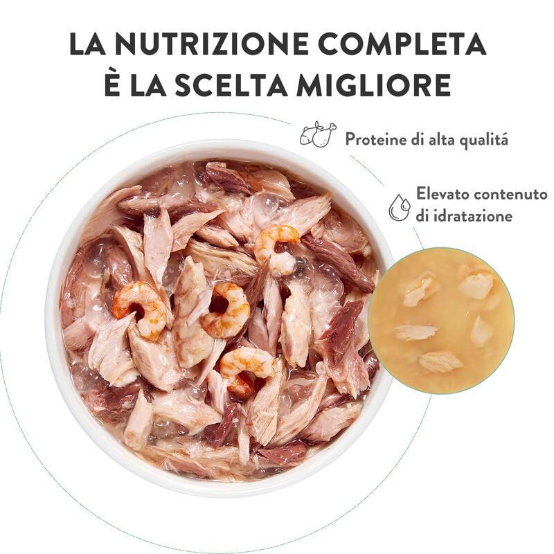 Schesir Cat Adult Tonnetto con alicette in brodo 85g